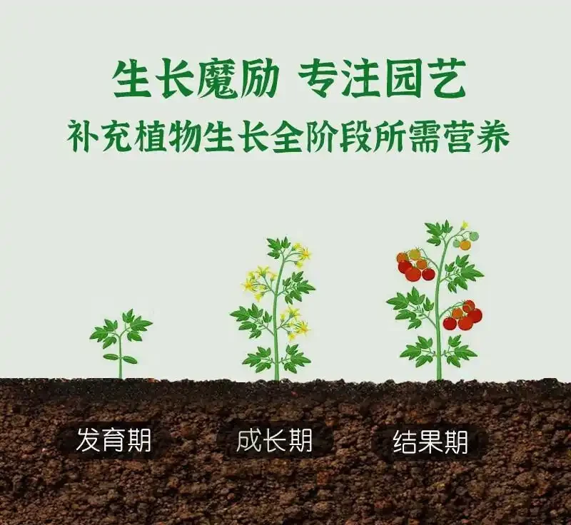 驚了!龜背芋狀態差沒精神?這些綠植營養液堪稱「救星」,能讓你的龜背芋迅速煥發新生,養護必備別錯過!