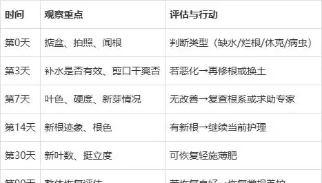 發財樹葉子發蔫下垂怎麼辦?99%的人都忽略了這個細節,難怪總養不活