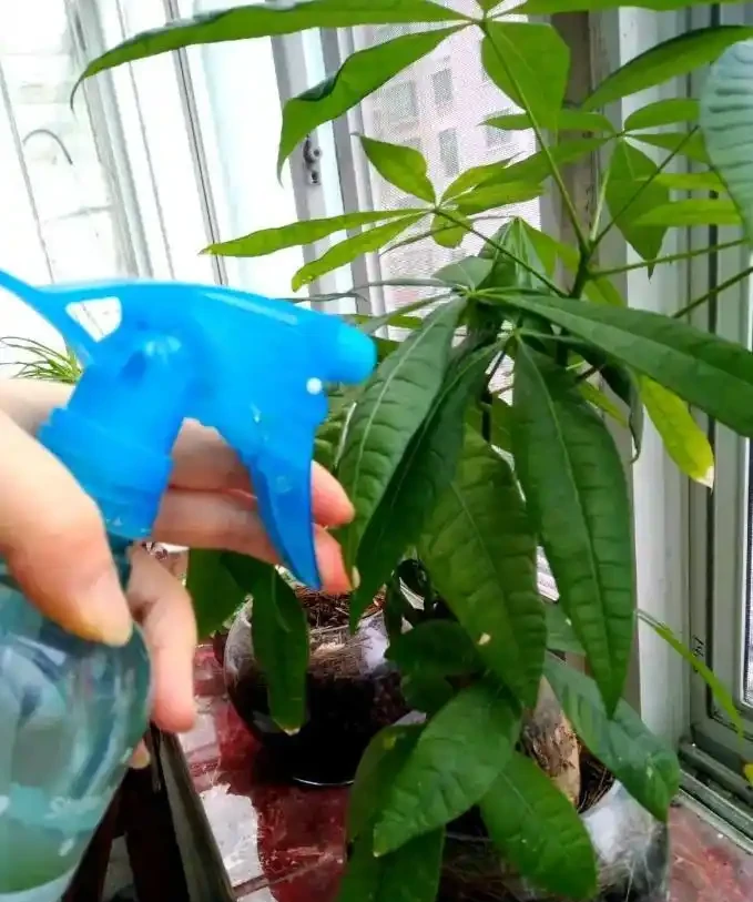 缺水下垂
