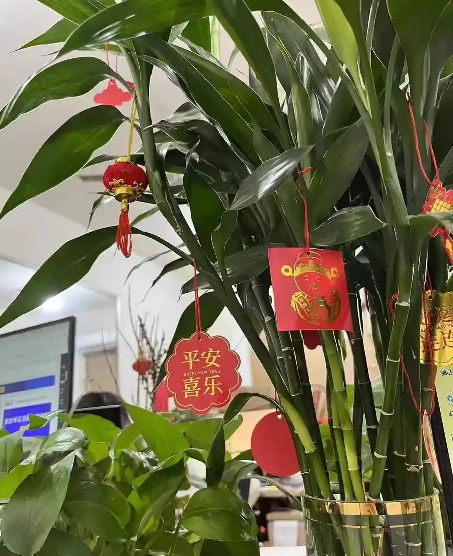 6種花能「鎮宅」,家中放一盆,安全感爆棚,吉祥還好養!