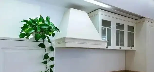黃金葛千萬別亂放！風水師透露3大禁忌位置，放錯了難怪夫妻老吵架