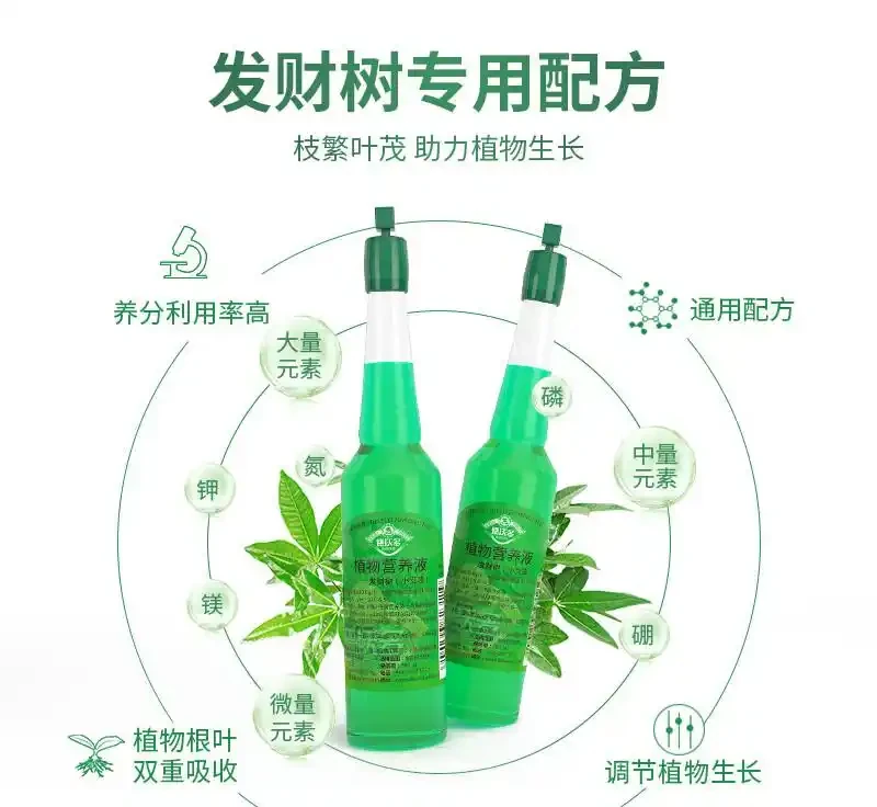 發財樹總養不好成難題?別愁!這些神奇營養液宛如綠植救星,能讓你家奄奄一息的發財樹起死回生,秘密究竟何在?