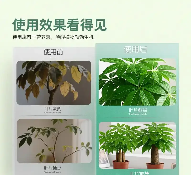 發財樹總養不好成難題?別愁!這些神奇營養液宛如綠植救星,能讓你家奄奄一息的發財樹起死回生,秘密究竟何在?