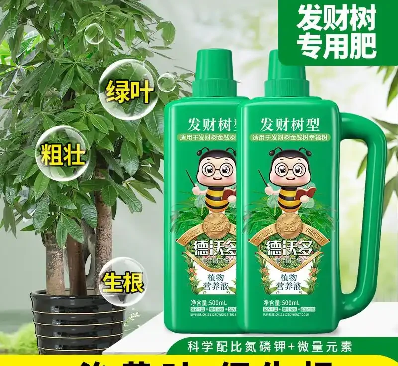 發財樹總養不好成難題?別愁!這些神奇營養液宛如綠植救星,能讓你家奄奄一息的發財樹起死回生,秘密究竟何在?