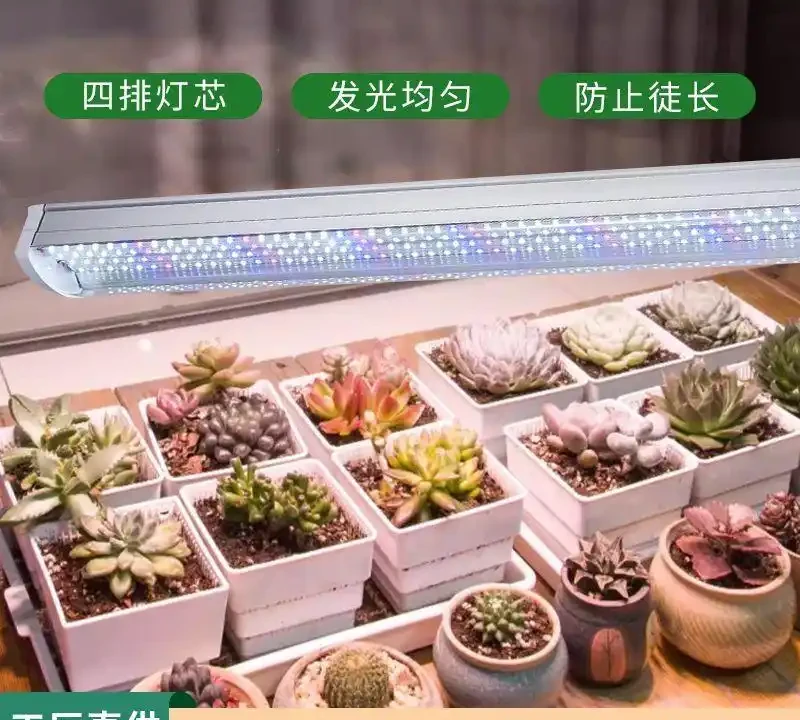 植物補光燈