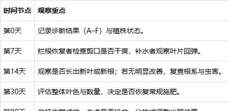 我家黃金葛救活了!黃金葛黃葉怎麼處理能治好?新手也能輕鬆復綠