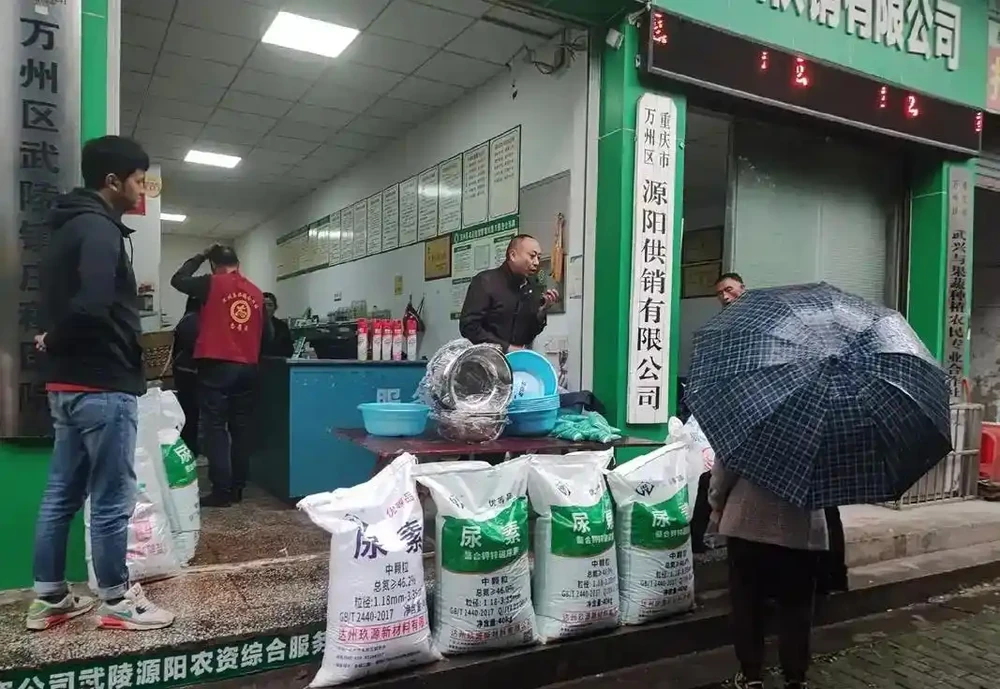 複合肥料不是撒是泡,90%的人都錯了!四個時間點很關鍵
