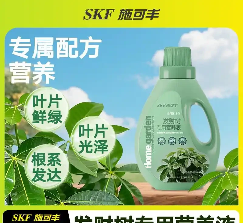 拯救發財樹的秘密武器，這些營養液真的能起死回生嗎？