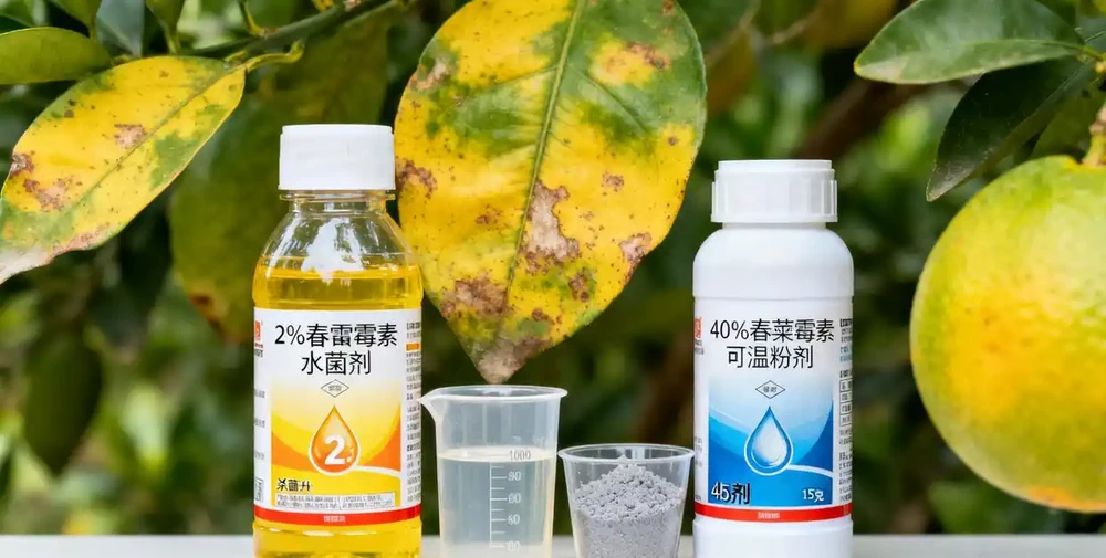 2%春雷黴素水劑與40%春雷黴素對比