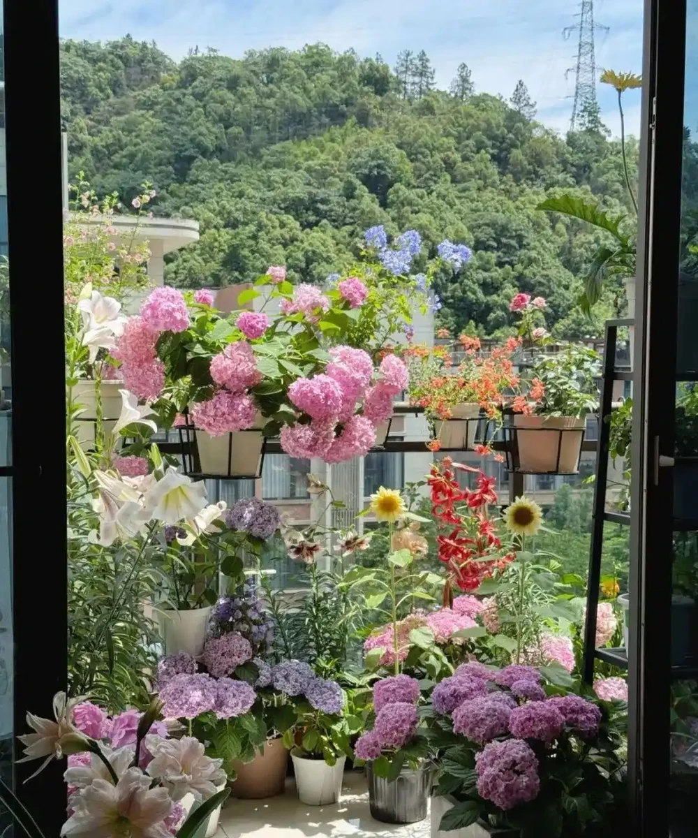 養寵黨也能實現 「綠植自由」！這 5 種安全顏值款，貓啃都不怕