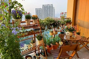 養寵黨也能實現 「綠植自由」！這 5 種安全顏值款，貓啃都不怕