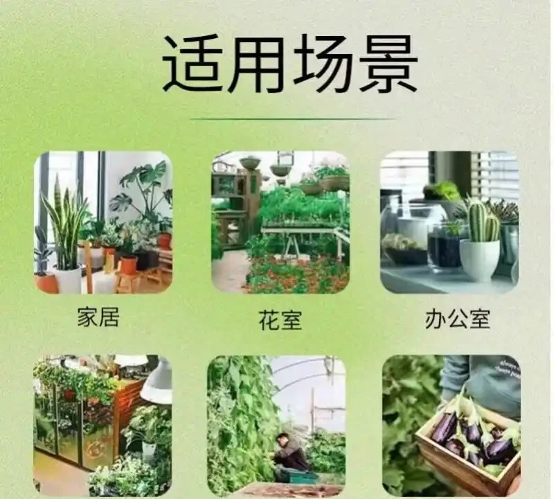 花園綠植總被蟲害困擾?這款高效除蟲劑堪稱綠植養護救星,能全方位守護你的花園,讓綠植健康茁壯成長