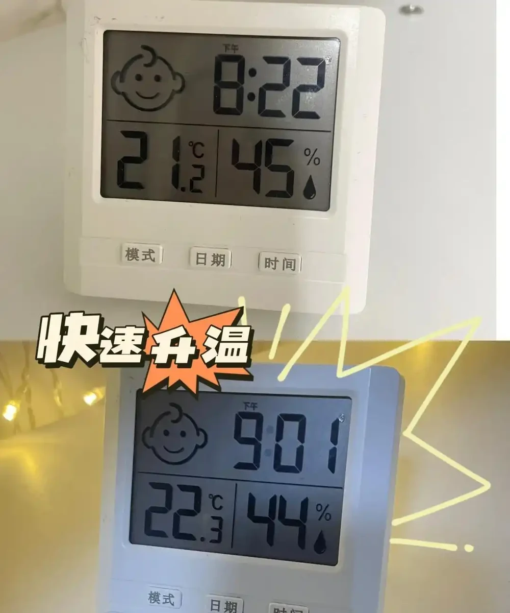 龜背芋11月進入靜養期!牢記「5不」,不黃葉不腐根,呼呼冒芽