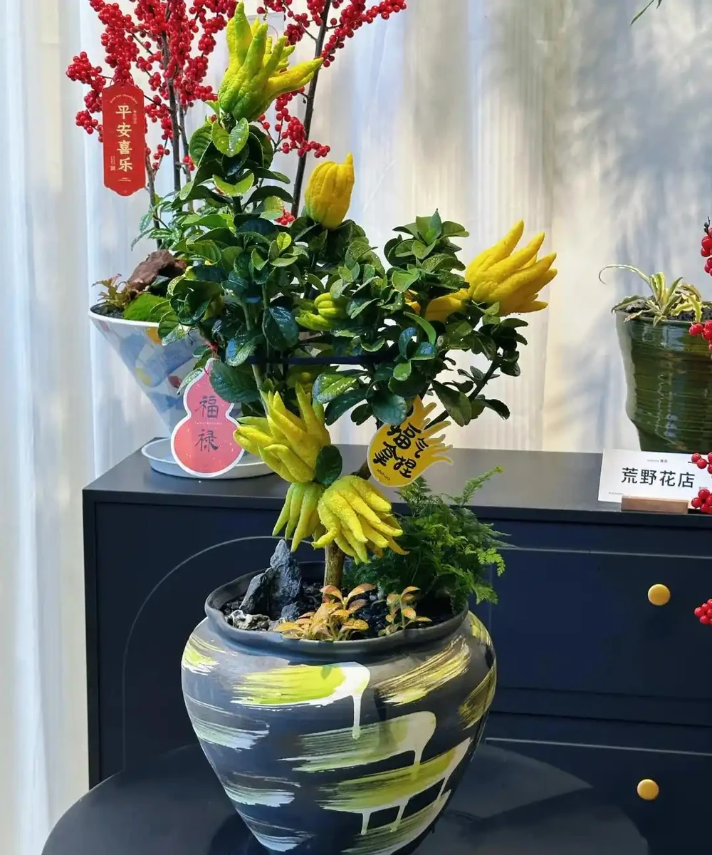 這5種花就是「活香水」,擺在客廳,空氣清新,越聞越健康!