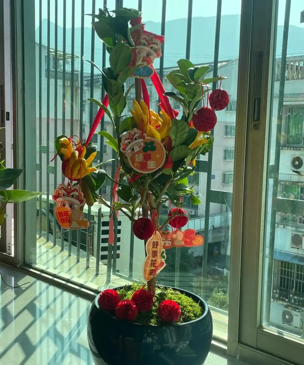 這5種花就是「活香水」,擺在客廳,空氣清新,越聞越健康!