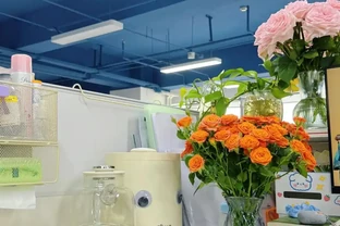這5種花就是「活香水」，擺在客廳，空氣清新，越聞越健康！