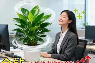室內綠植界黑馬金鑽綠公主，不僅擁有強大空氣淨化能力，還被傳自帶招財屬性，其雙重魅力究竟有多驚人？