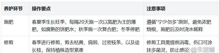 養發財樹避開3坑,不腐根不掉葉,枝幹粗壯葉片油綠!