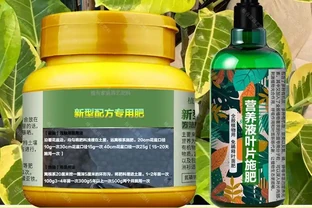 想讓黃金榕重煥生機？這份終極肥料指南別錯過，揭秘能拯救綠植的肥料秘訣，讓你的黃金榕活力滿滿
