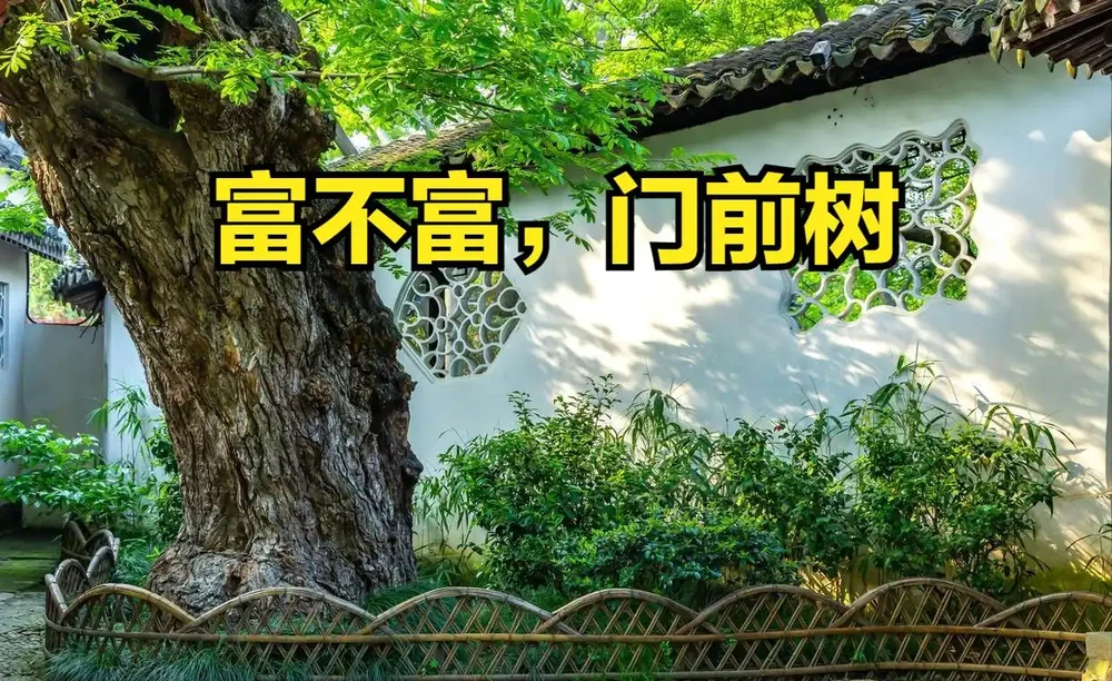 「富不富，門前樹」，在院子裡栽5種富貴樹，子孫輩輩富