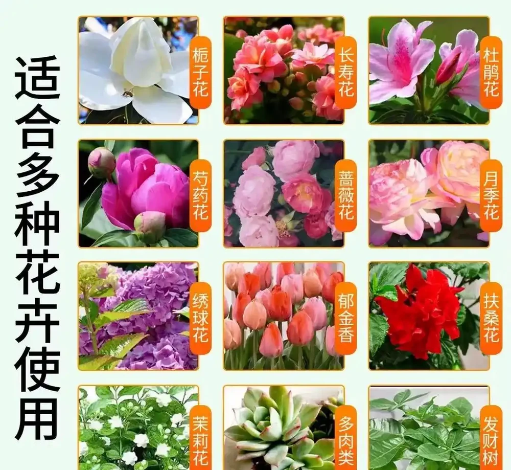 養花人的秘密武器:三款月季玫瑰專用肥料深度評測