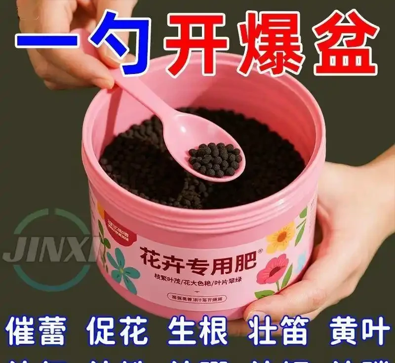 養花人的秘密武器:三款月季玫瑰專用肥料深度評測