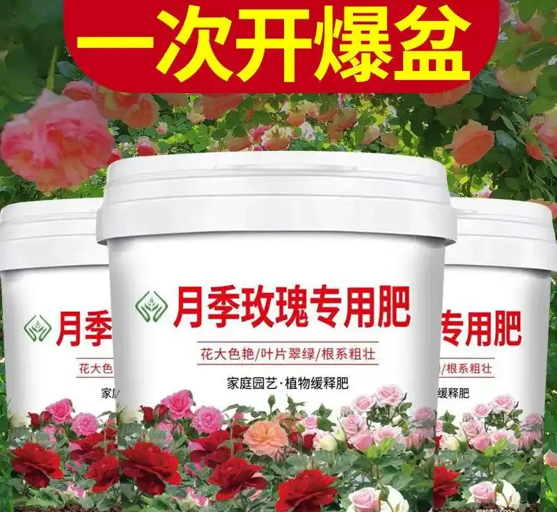 養花人的秘密武器:三款月季玫瑰專用肥料深度評測
