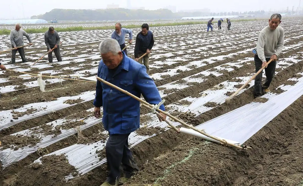 複合肥料和復混肥傻傻分不清,一文帶你瞭解,附萬能復混肥自配方法