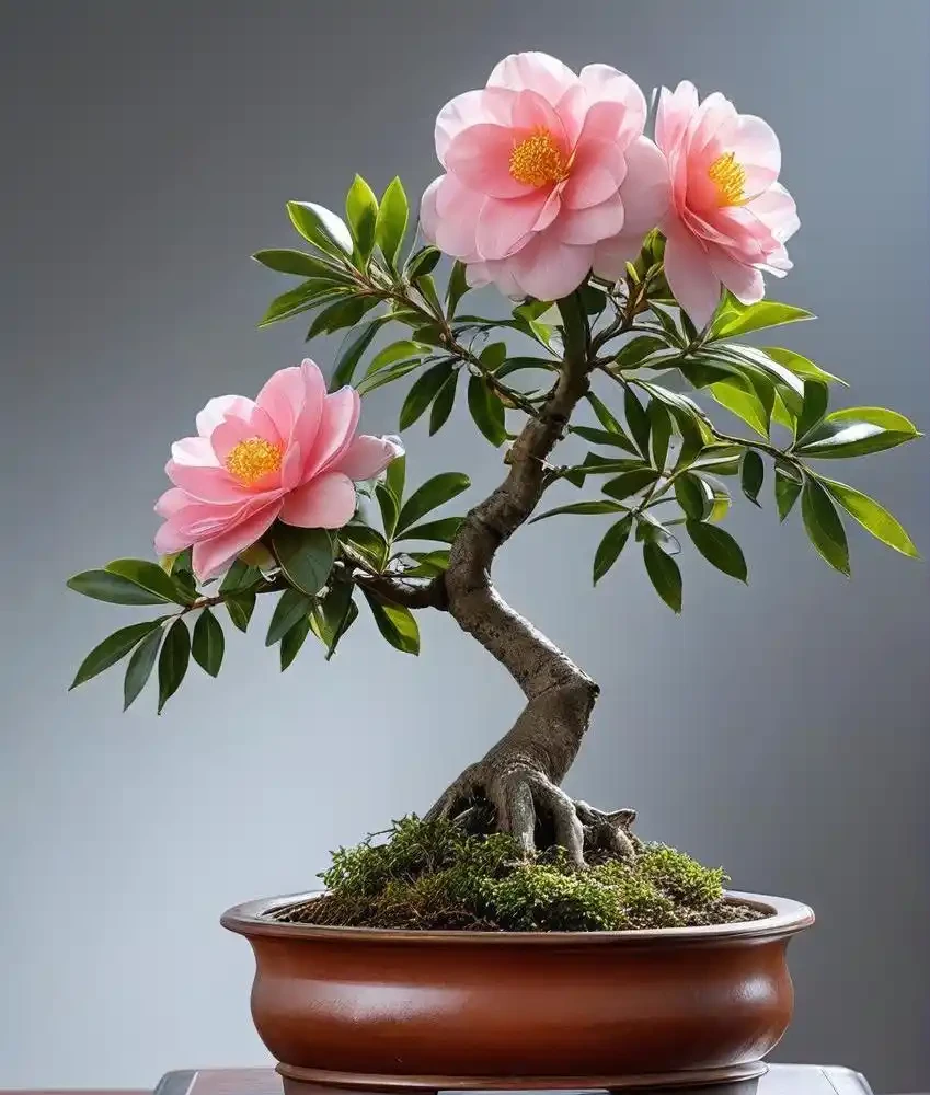 茶花黃葉自救指南:揪出元兇,讓綠葉重煥生機