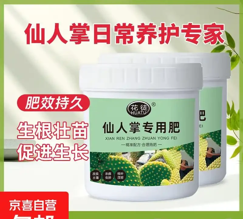 仙人掌老是養不活?這些專用肥堪稱救星!與普通花肥相比優勢驚人,究竟強在哪能讓仙人掌起死回生