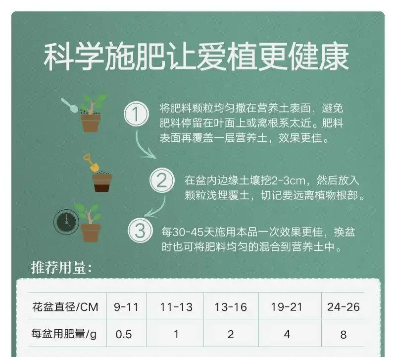 仙人掌老是養不活?這些專用肥堪稱救星!與普通花肥相比優勢驚人,究竟強在哪能讓仙人掌起死回生