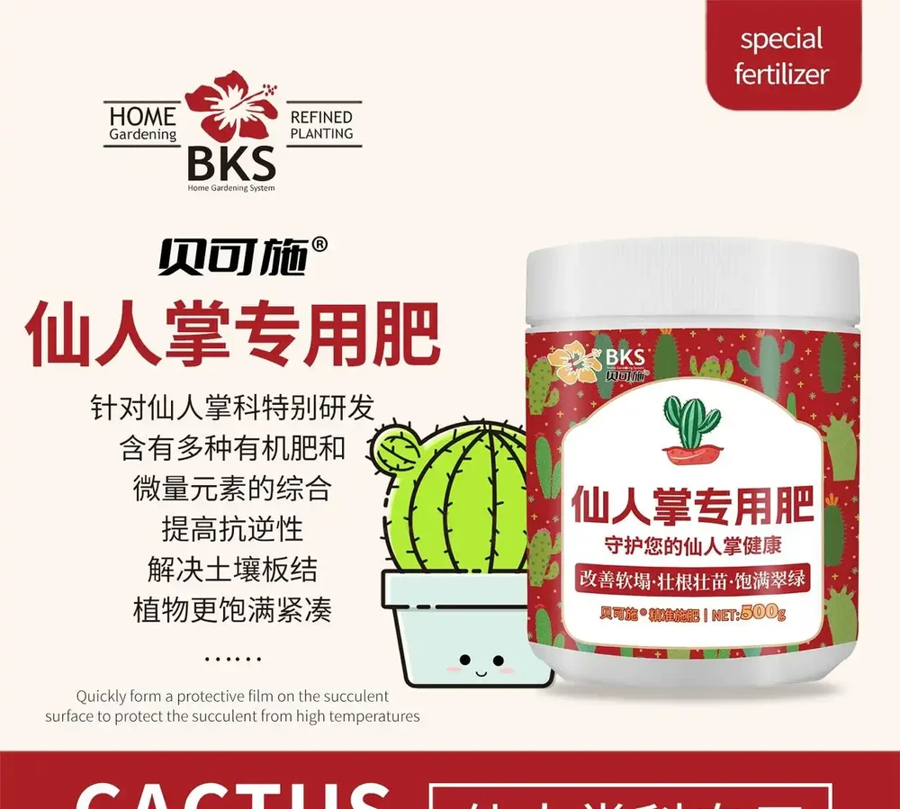 仙人掌老是養不活?這些專用肥堪稱救星!與普通花肥相比優勢驚人,究竟強在哪能讓仙人掌起死回生