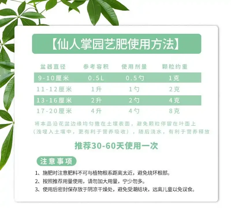 仙人掌老是養不活?這些專用肥堪稱救星!與普通花肥相比優勢驚人,究竟強在哪能讓仙人掌起死回生