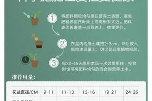 仙人掌老是養不活？這些專用肥堪稱救星！與普通花肥相比優勢驚人，究竟強在哪能讓仙人掌起死回生