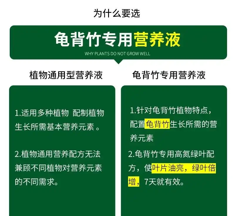 想讓龜背芋重煥生機?別再用老套方法了!這些綠植營養液是全新選擇,能讓你的龜背芋瞬間活力滿滿