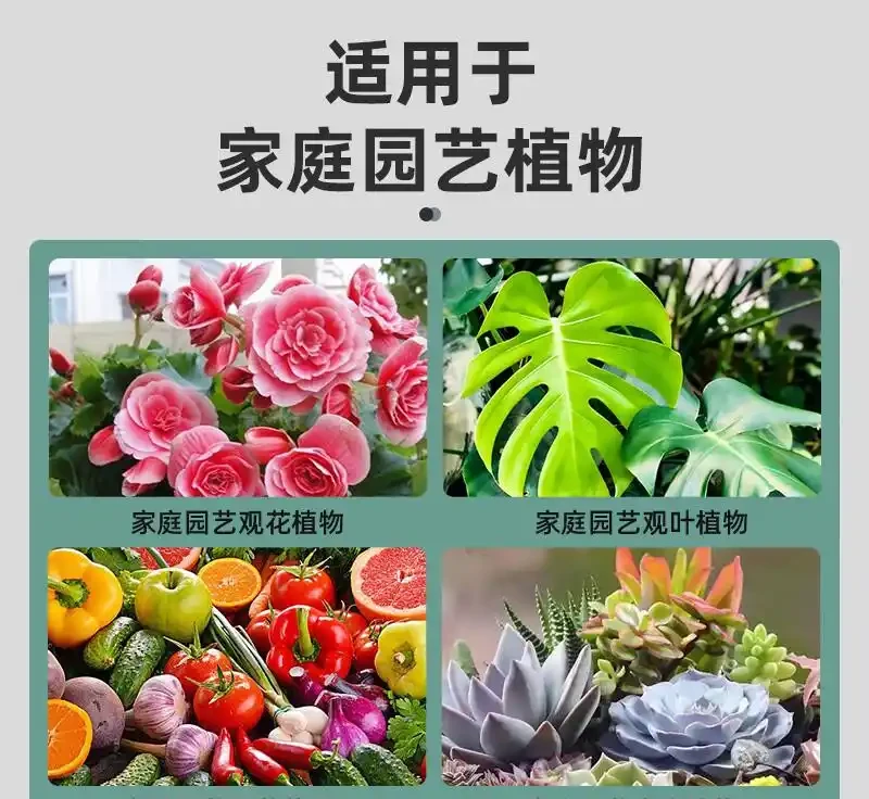 想讓龜背芋重煥生機?別再用老套方法了!這些綠植營養液是全新選擇,能讓你的龜背芋瞬間活力滿滿