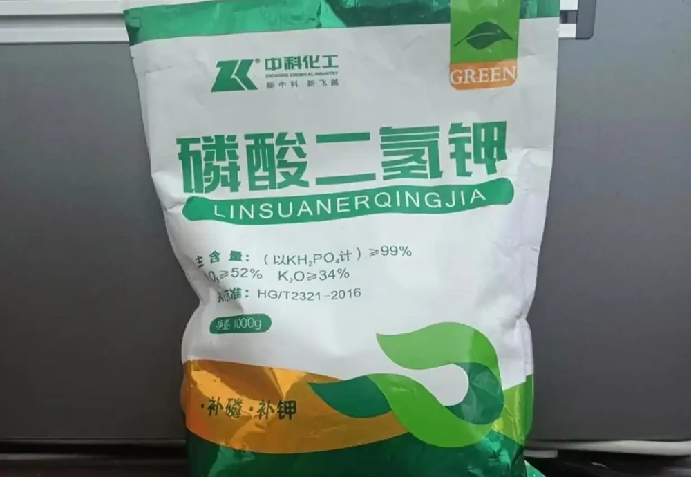 茶花不怕冷，冬天要這樣澆水、施肥，讓它過年時開滿盆