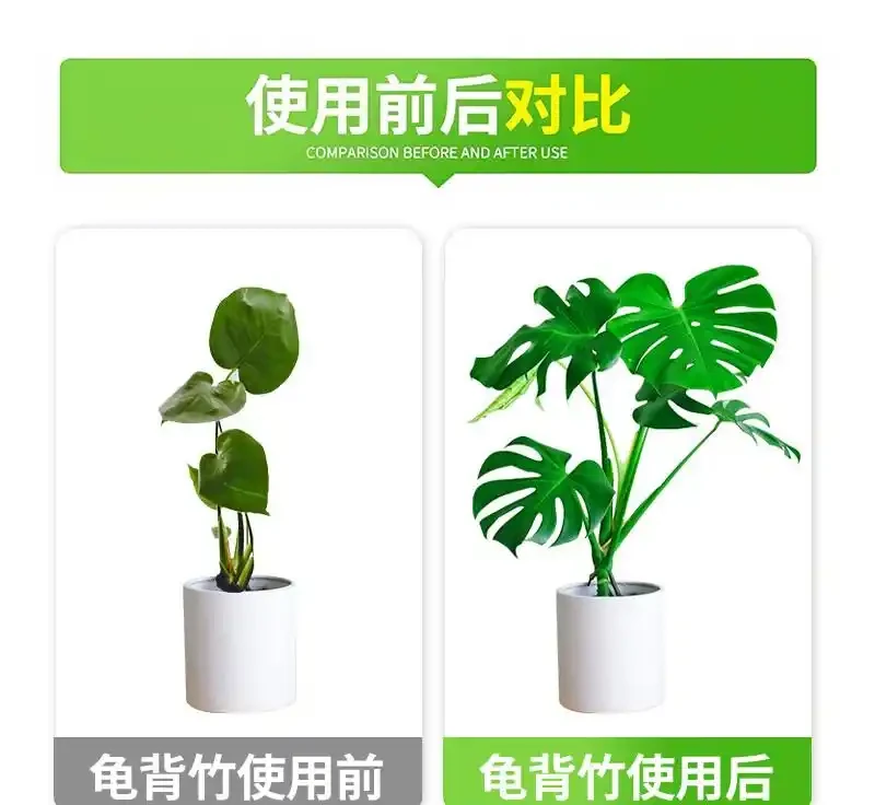 想讓龜背芋重煥生機?這五款營養液堪稱養護神器,掌握使用方法,讓你的綠植瞬間告別萎靡,活力滿滿