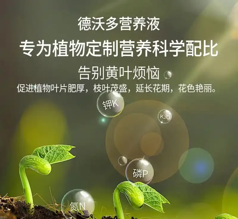 還在為龜背芋生長不佳發愁？這些綠植營養液堪稱養護神器，能讓你的龜背芋瞬間煥發生機，效果驚豔！