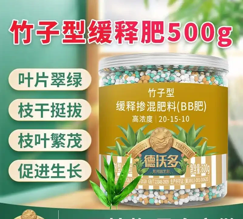 竹子黃葉不用慌!掌握從黃葉急救到四季常青的養護秘訣,讓你的竹子從此生機勃勃,打造家中清新綠色小天地