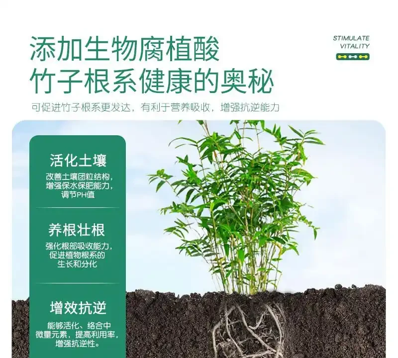 竹子黃葉不用慌!掌握從黃葉急救到四季常青的養護秘訣,讓你的竹子從此生機勃勃,打造家中清新綠色小天地