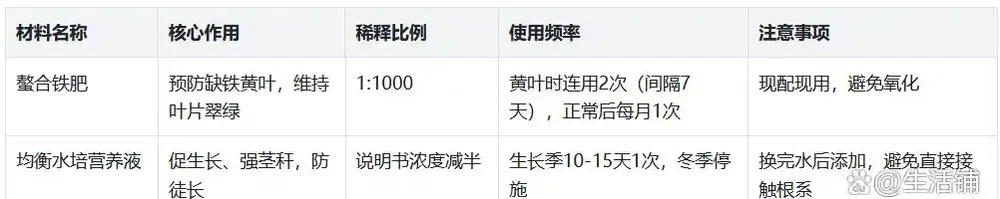 水耕龜背芋,水裡加2料!不黃葉不徒長,猛竄1米高