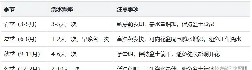 養茶花總翻車?澆水施肥用對方法,枝繁葉茂,年年開花!