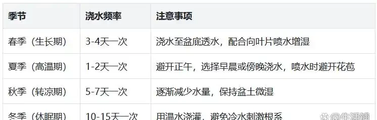 海芋長勢差?做好4點,株型美觀又挺拔!
