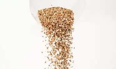 梔子花可以用磷酸二氫鉀嗎