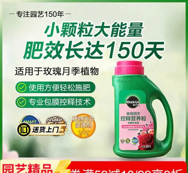 園藝達人必備!玫瑰月季養護全攻略,花開不斷就靠它們