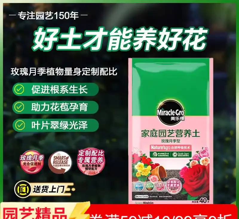 園藝達人必備!玫瑰月季養護全攻略,花開不斷就靠它們