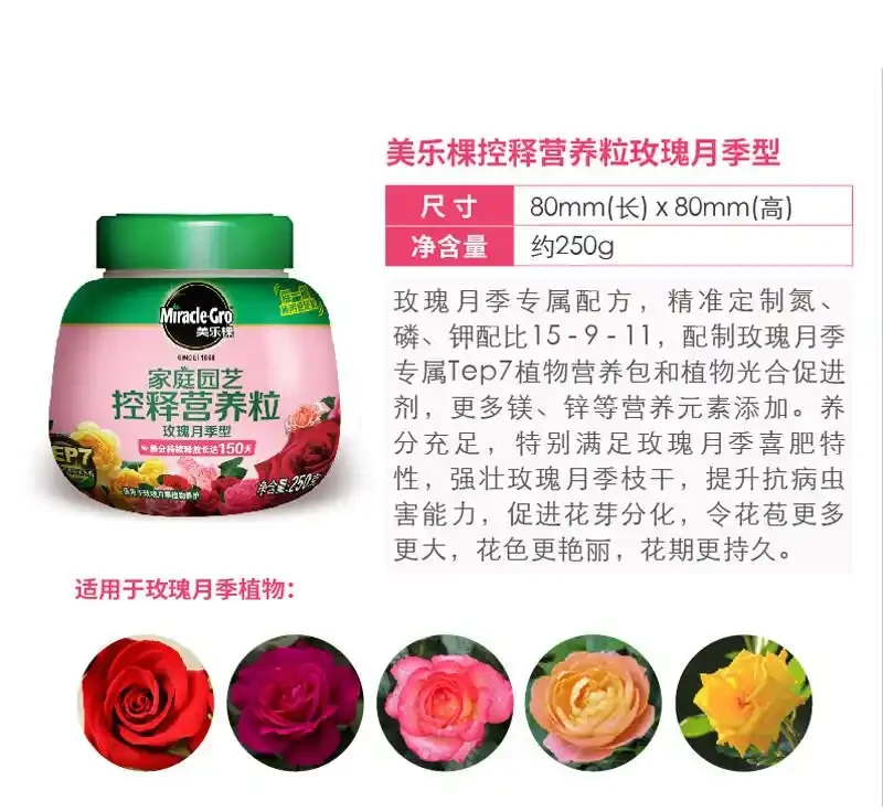 園藝達人必備!玫瑰月季養護全攻略,花開不斷就靠它們
