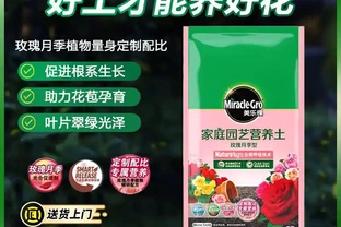 園藝達人必備！玫瑰月季養護全攻略，花開不斷就靠它們