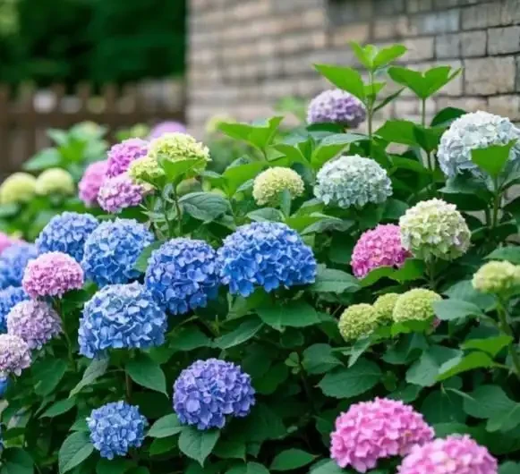 零下30度凍不死!北方小院10種「鋼鐵俠」花卉,種一次美十年,鄰居天天來偷師!